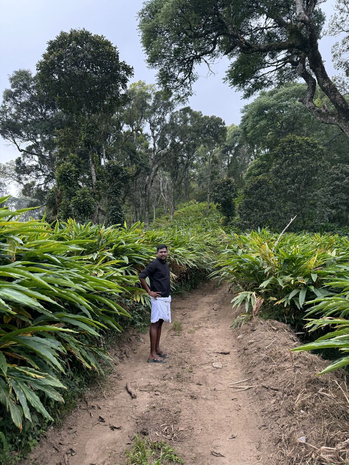 Founder leading the tribe in a forest