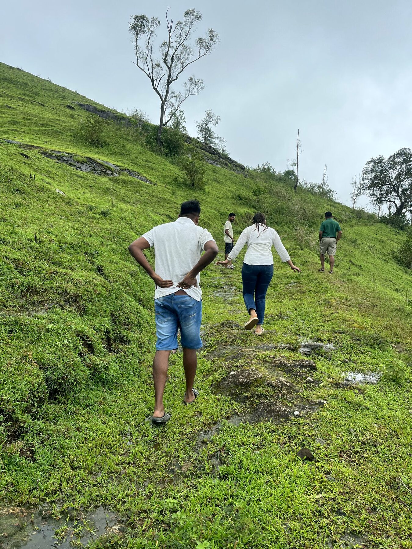 The AyC Tribe walking a forest trail together